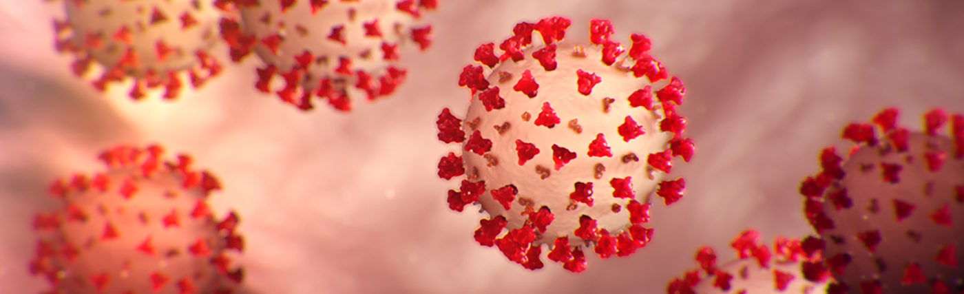 Image of the Coronavirus (COVID-19), courtesy of the Center for Disease Control.