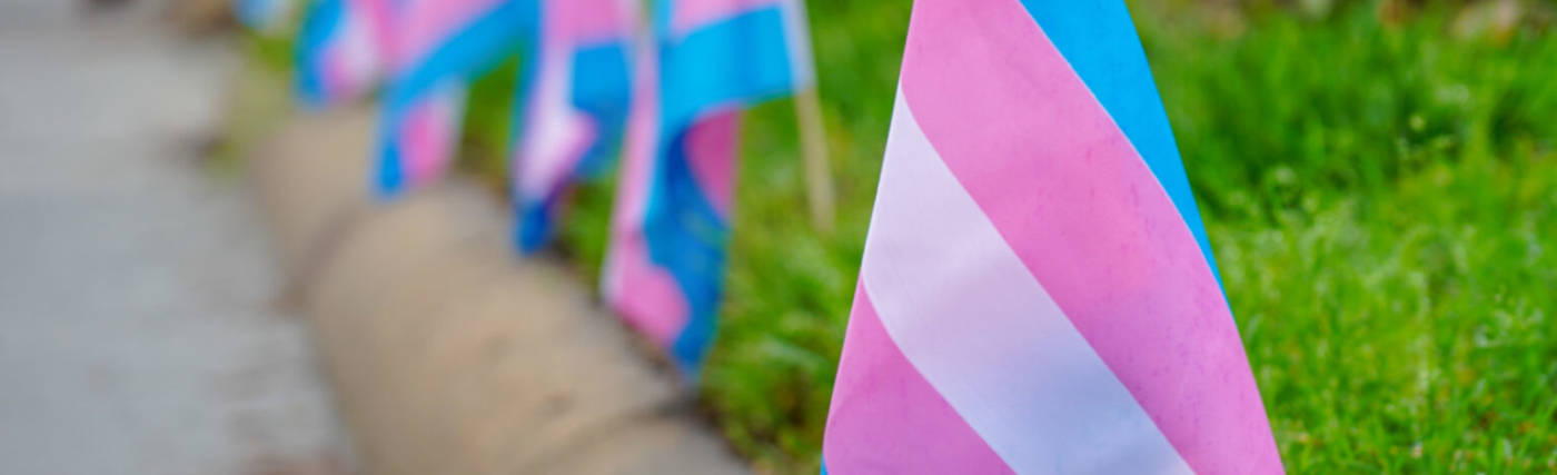 Trans Pride Flags
